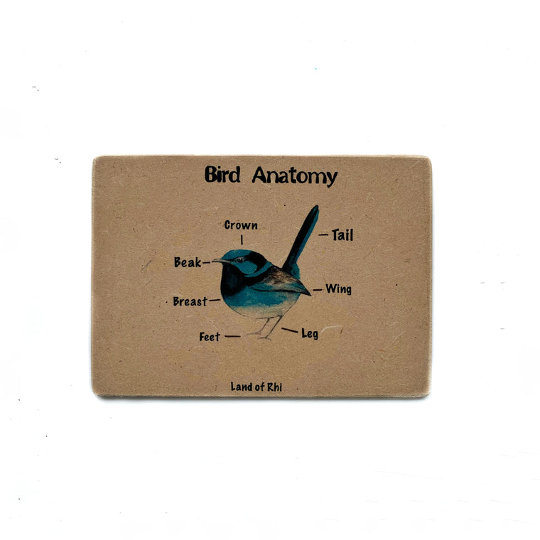 Fairy Wren Bird Anatomy Wooden Nature Learning Flash Card