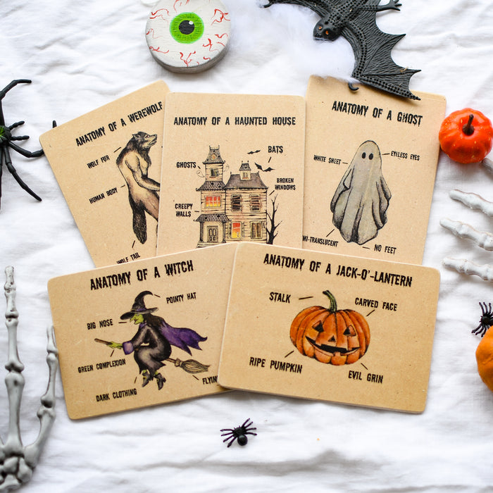 Anatomy of Halloween Wooden Learning Flash Card Set