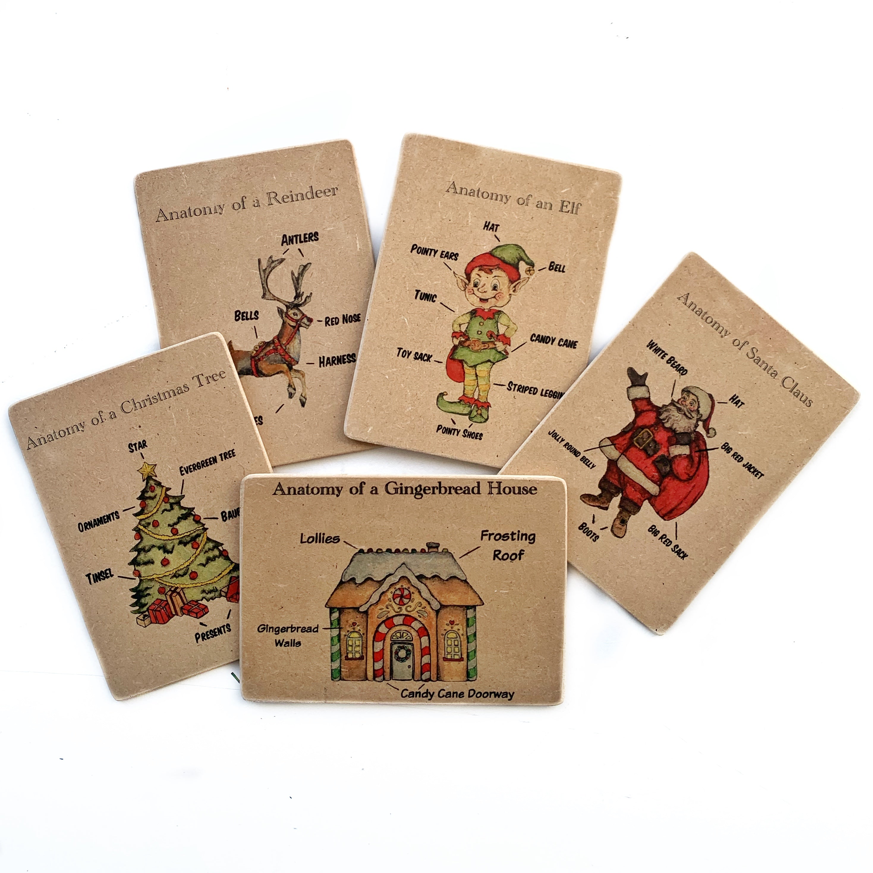 Anatomy of Christmas Wooden Learning Flash Card Set