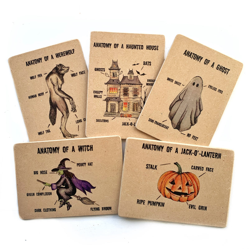 Anatomy of Halloween Wooden Learning Flash Card Set