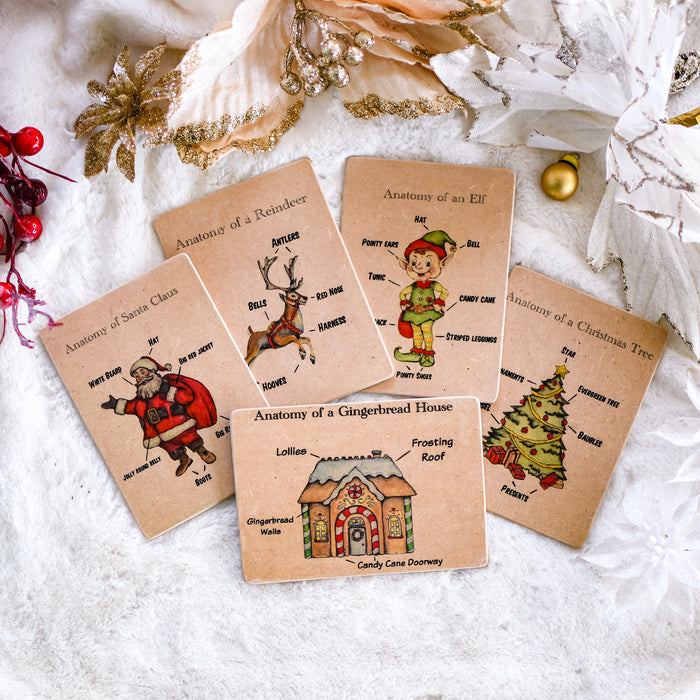 Anatomy of Christmas Wooden Learning Flash Card Set