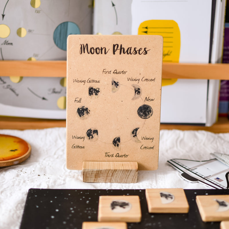 Moon Phases illustrated Wooden Learning Flash Card