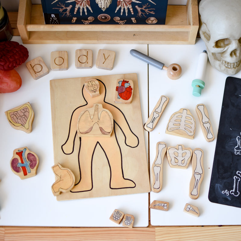 Human Body Skeleton Wooden Playboard Learning Educational Block Set